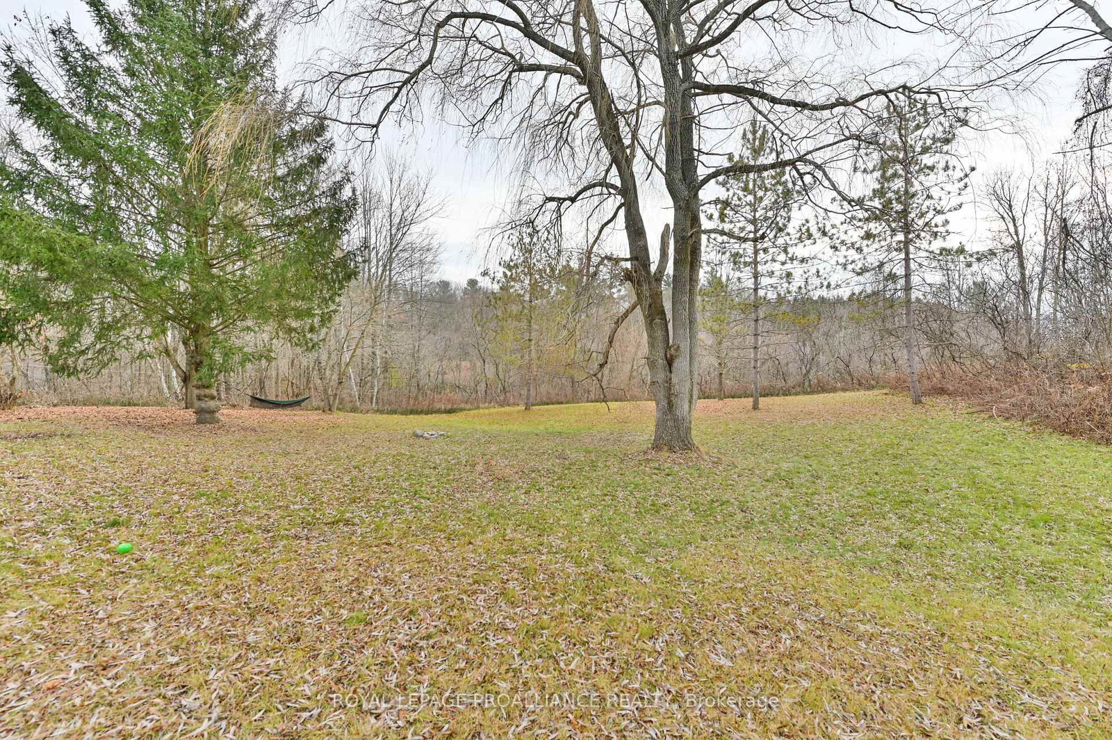 Listing Image 34
