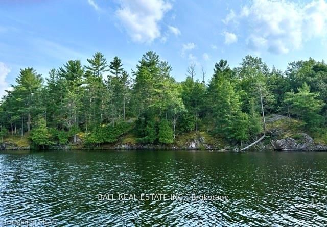home for sale on 0 Stoney Lake