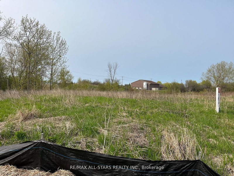 25 Commerce Rd, Kawartha Lakes, K9V 5Y3 | Image 3