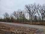Lot 1 Rednersville Rd, Prince Edward County, K8N 4Z7 | Image 3