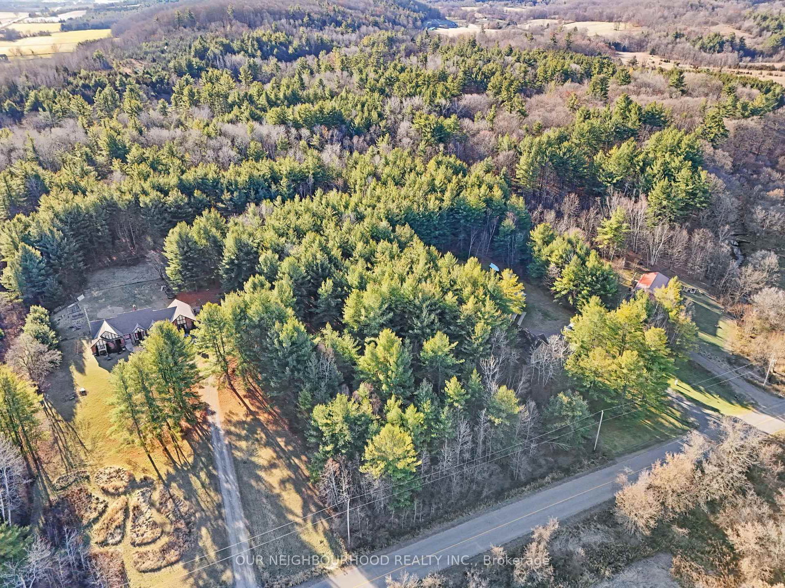 Listing Image 4