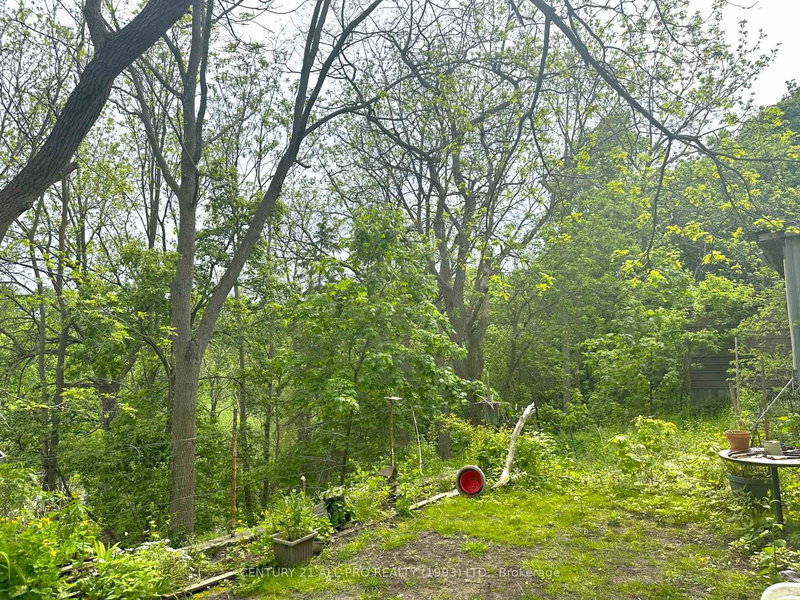 221 Walton St, Port Hope, L1A 1P1 | Image 2