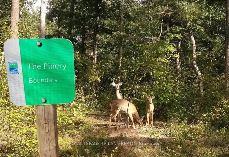 9928 Eric St, Lambton Shores, N0M 2N0 | Image 3