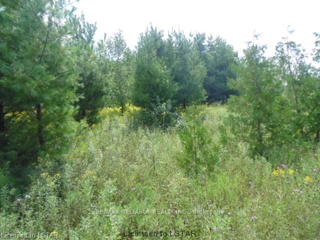 Listing Image 27