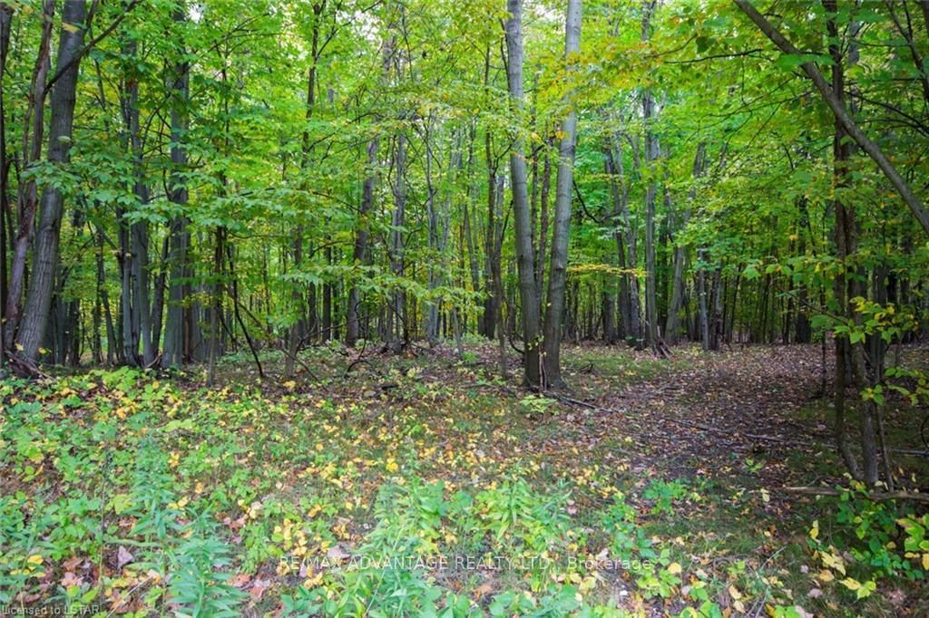 Listing Image 32