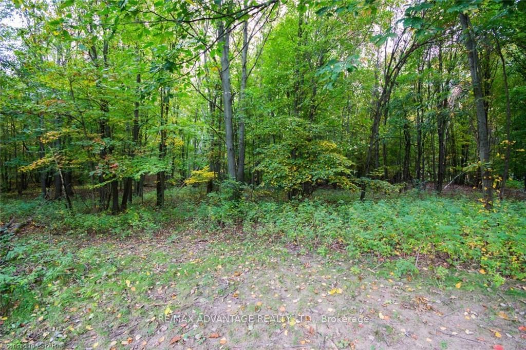 Listing Image 37