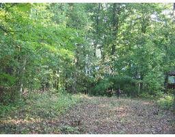 2135 Champlain Rd N, Tiny, L9M1R2 | Image 3