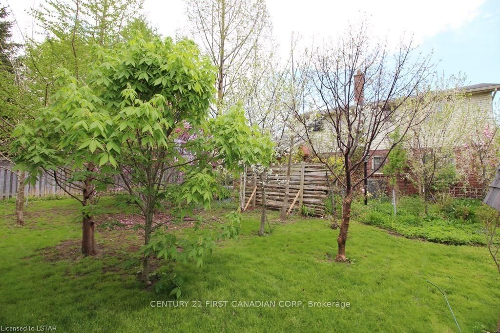 Listing Image 7