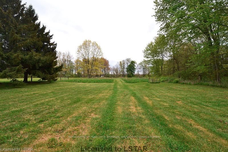 Listing Image 24