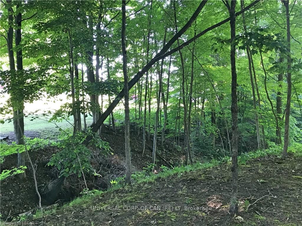 Listing Image 33