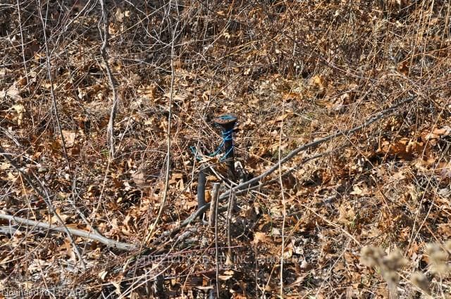 9941 Nipigon St, Lambton Shores, N0M 2L0 | Image 3