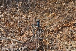 9941 Nipigon St, Lambton Shores, N0M 2L0 | Image 2