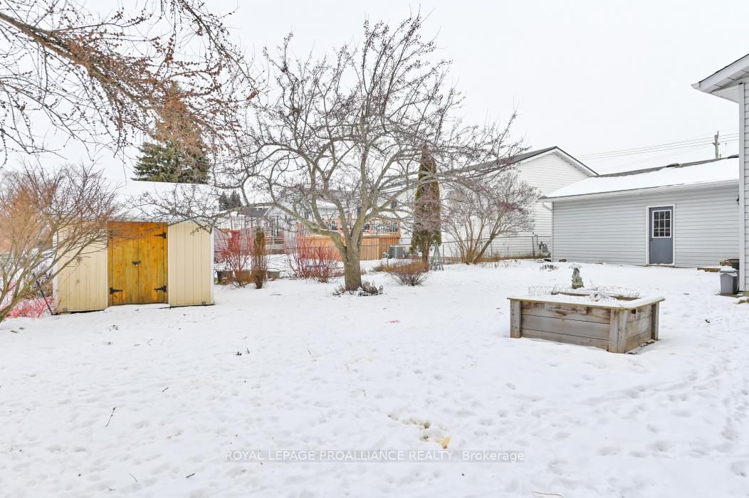 Listing Image 31