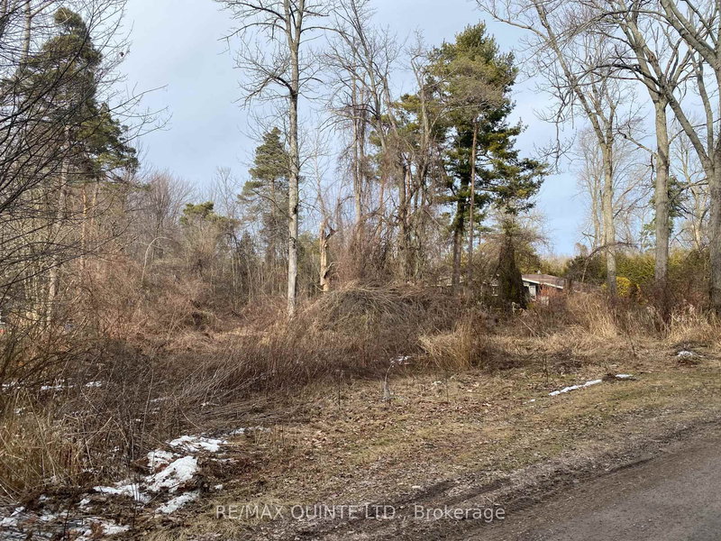 149 Evergreen Lane, Brighton, K0K 1H0 | Image 3