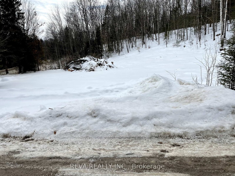 314 Airport Rd, Bancroft, K0L 1C0 | Image 3