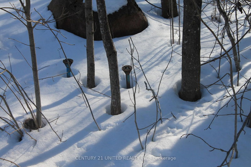 0 Sumcot Dr, Trent Lakes, K0L 1J0 | Image 3