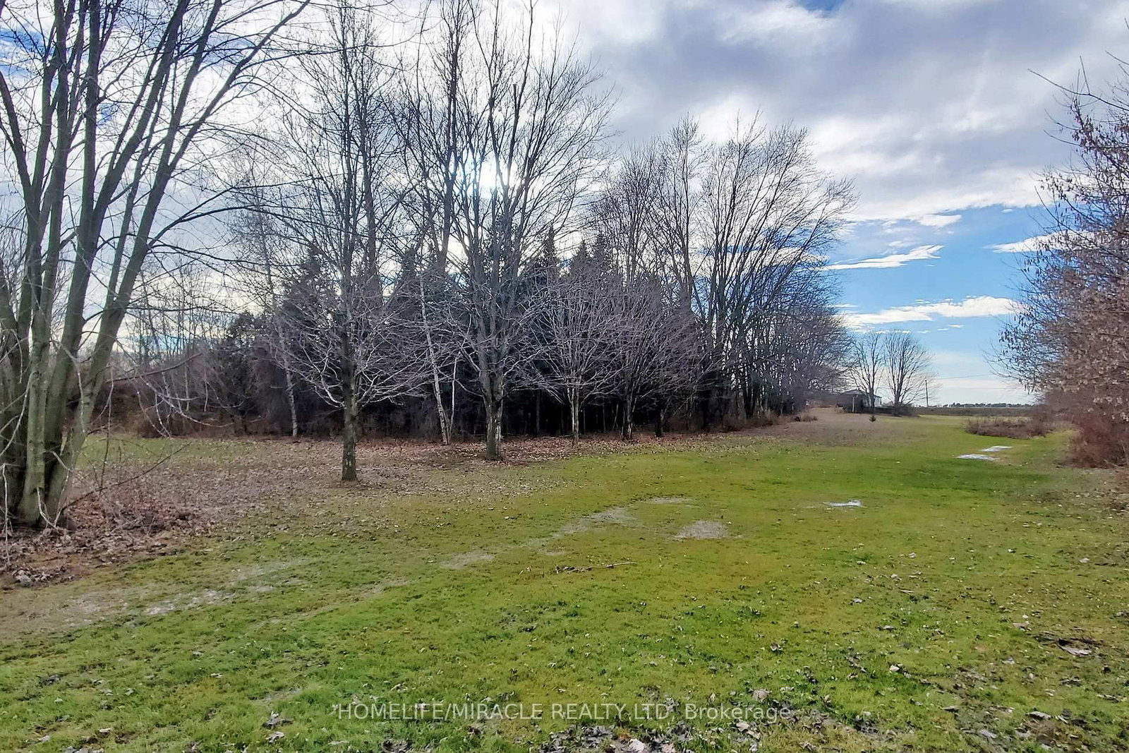 Listing Image 22