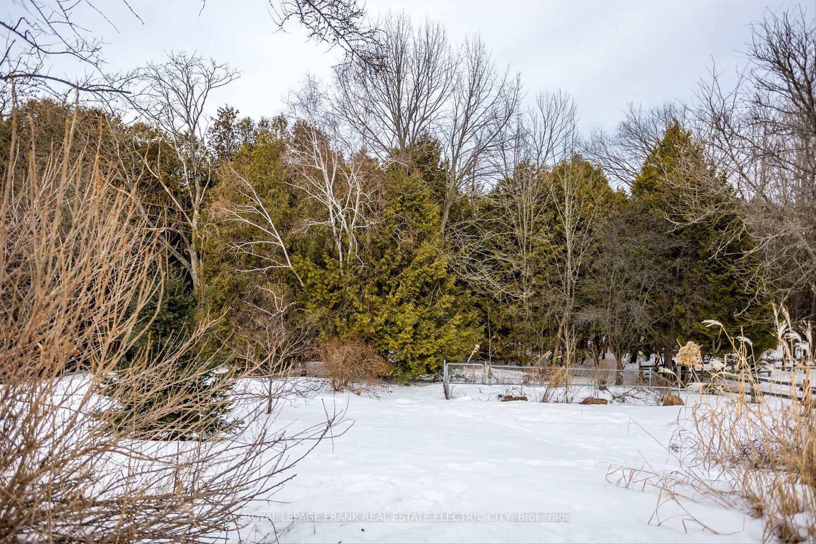 Listing Image 35