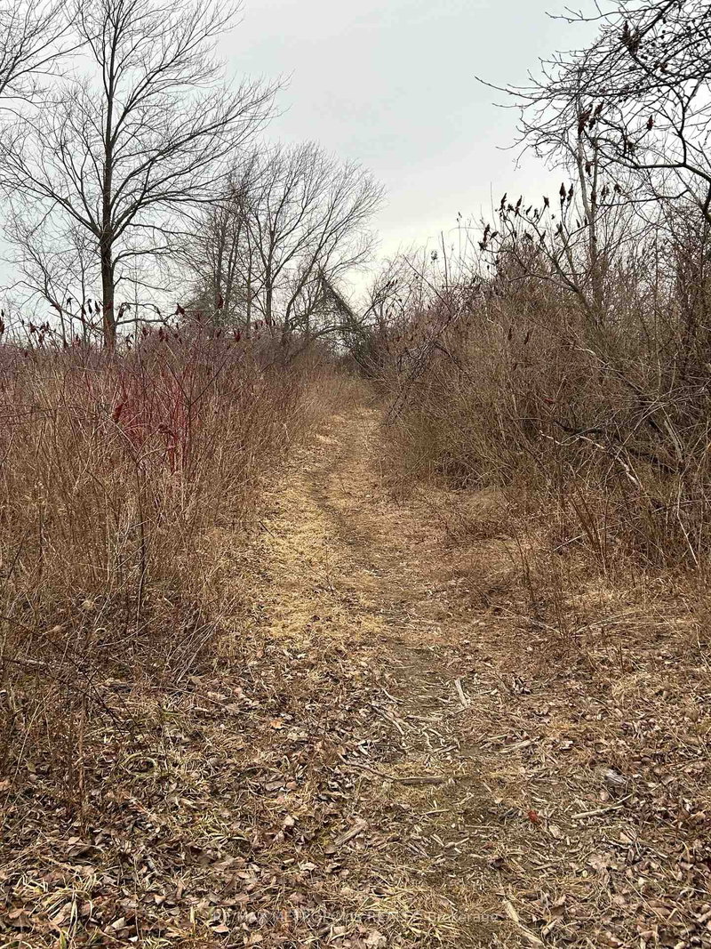 7089 BLUE COAST Hts, Plympton-Wyoming, N0N 1E0 | Image 2