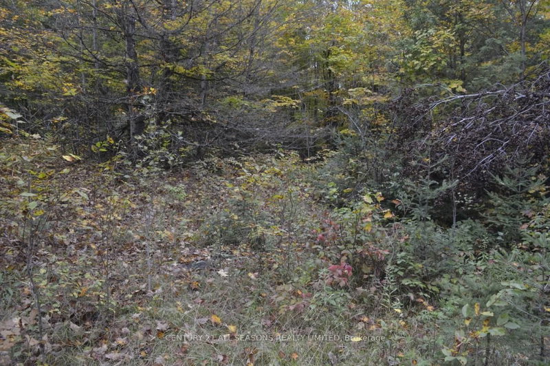 PtLt 61 Old Hastings Rd, Coe Hill, K0L 1P0 | Image 2