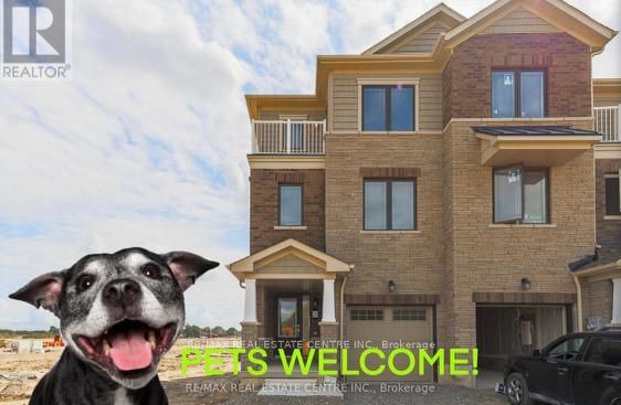 home for lease on 19 Baskett Street