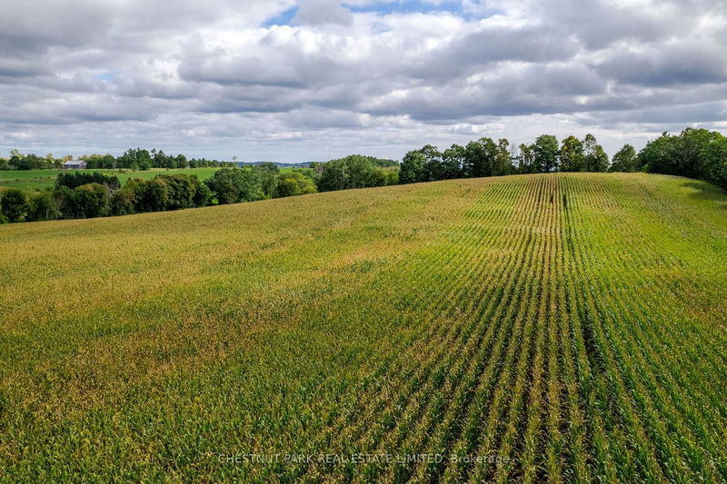 000 Crossen Rd  Hamilton Township, K9A 4J9 | Image 10