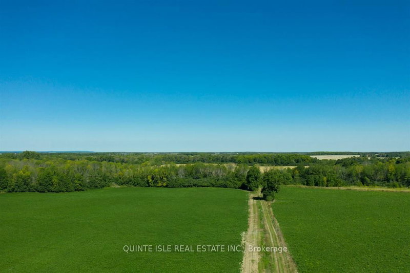 17511 Loyalist Pkwy W, Prince Edward County, K0K 3L0 | Image 3