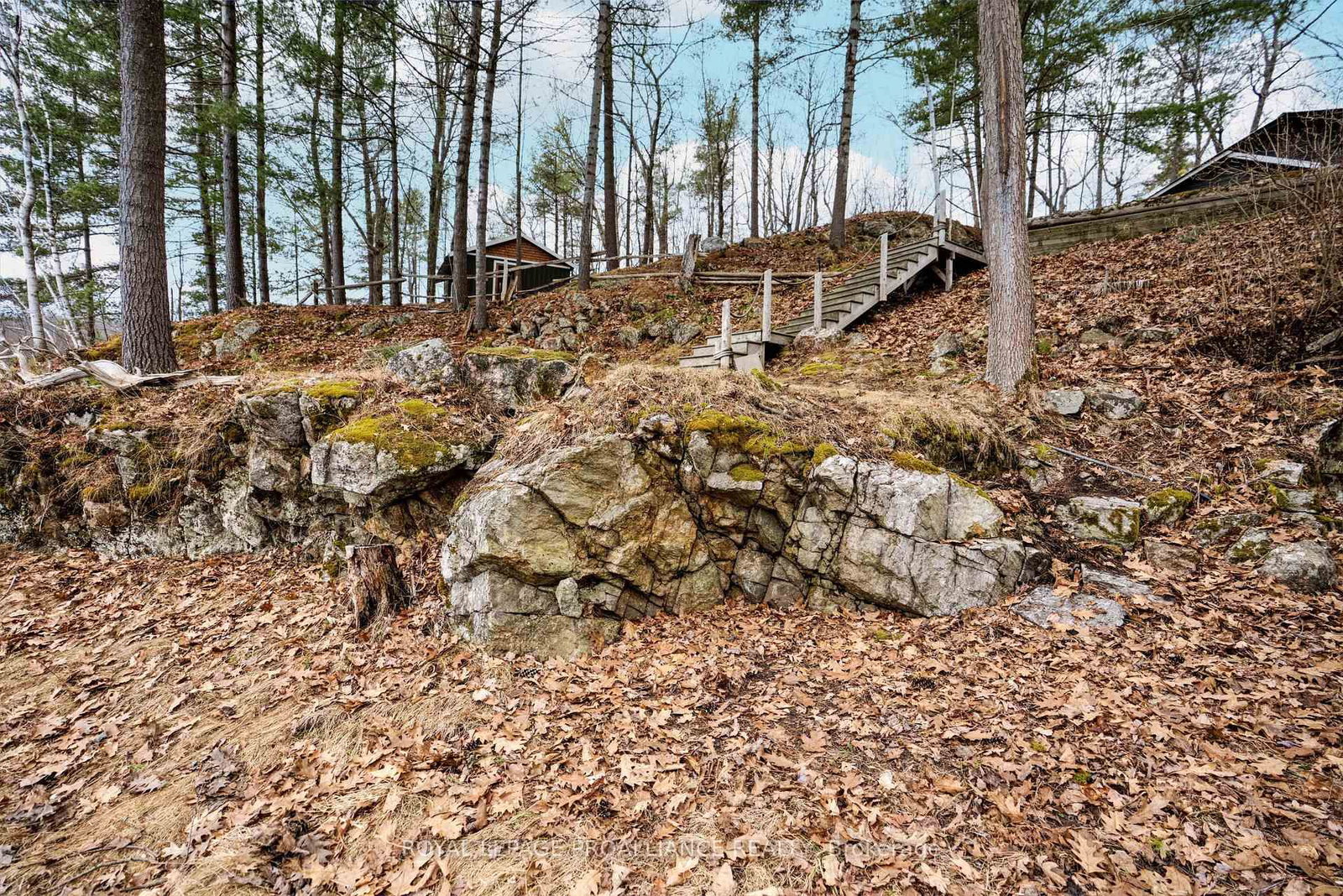 Listing Image 37