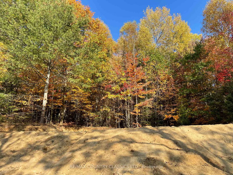 178 Gaebel Rd, Bancroft, K0L 1C0 | Image 2