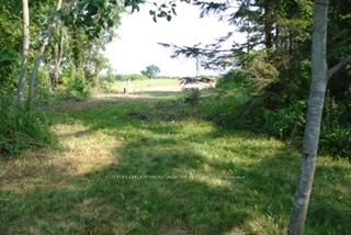 76 Windsor Ave, Trent Hills, K0L 1L0 | Image 2