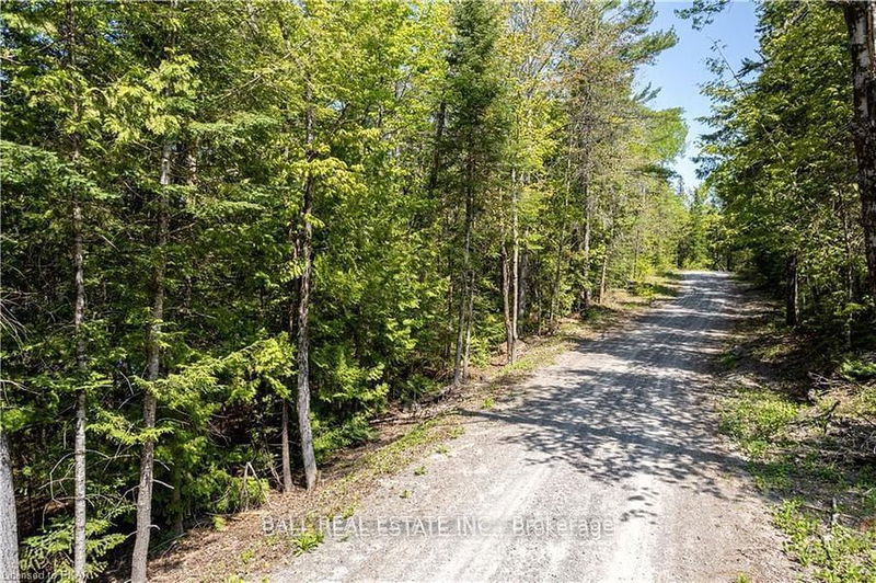 0 Johnson Rd  North Kawartha, K0L 1A0 | Image 18