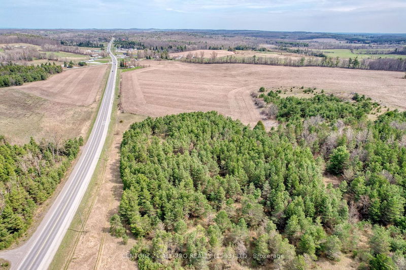 0 County Road 45 Rd  Alnwick/Haldimand, K0K 2X0 | Image 6