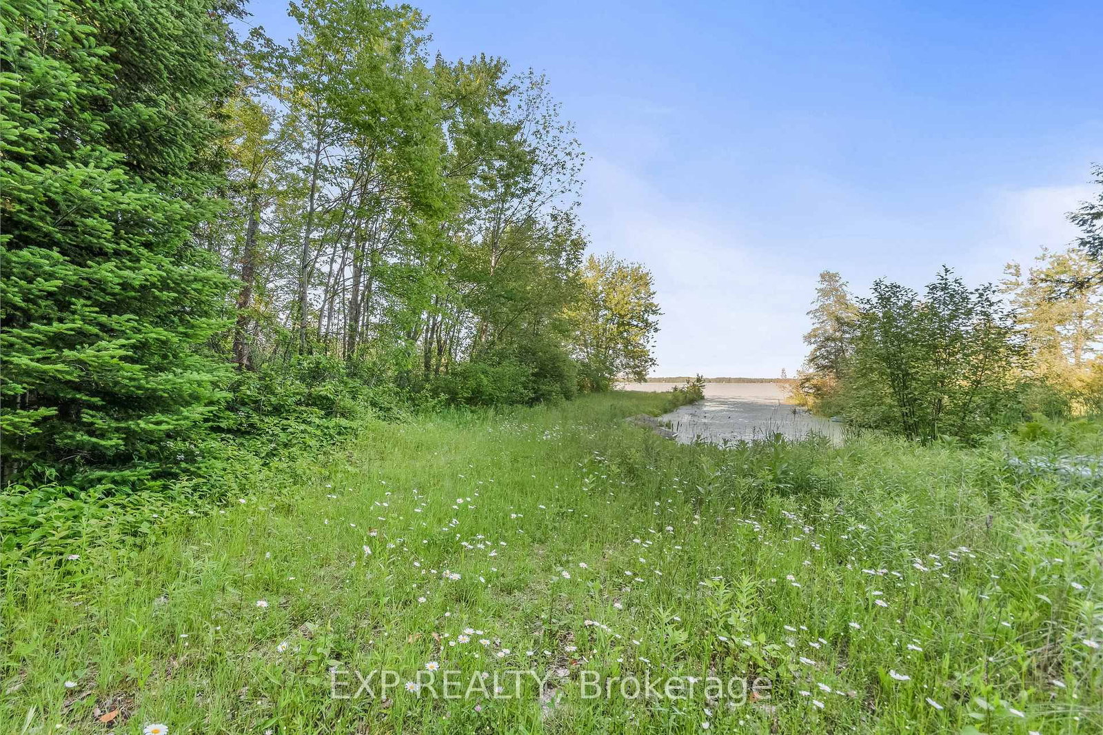 Listing Image 36