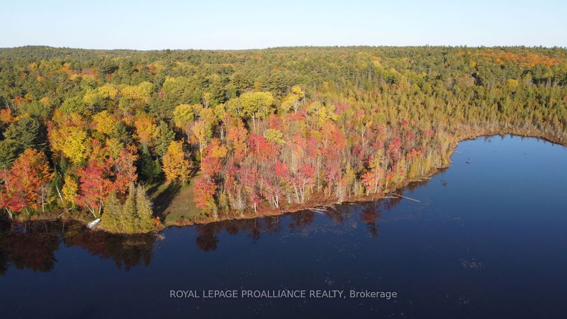 Con 13 PtLt 30 Turtle Lake Lane  North Frontenac, K0H 2M0 | Image 13