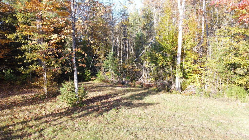 Con 13 PtLt 30 Turtle Lake Lane  North Frontenac, K0H 2M0 | Image 17