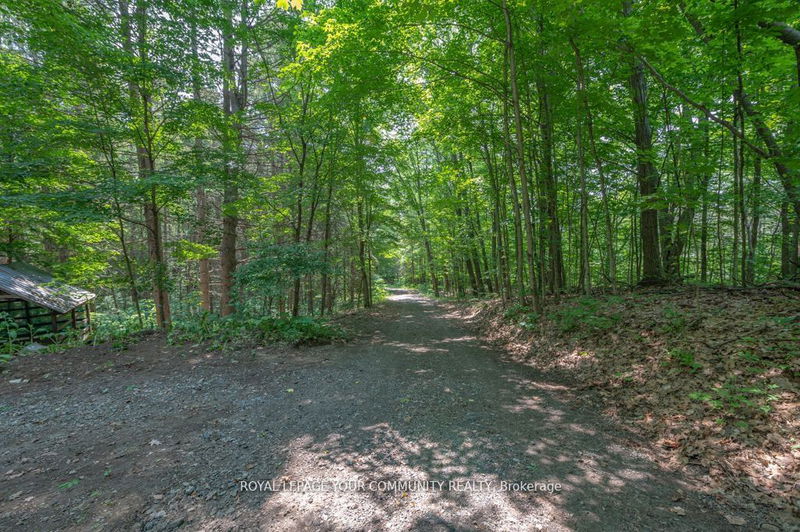 9297 Highway 118  E Minden Hills, K0M 1J2 | Image 38