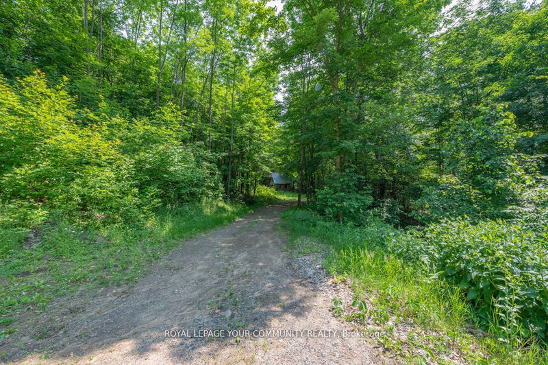 9297 Highway 118  E Minden Hills, K0M 1J2 | Image 39