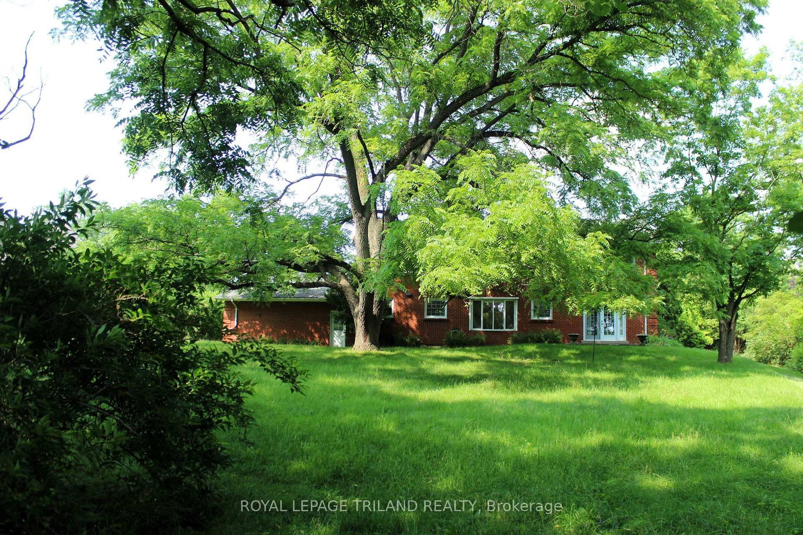 Listing Image 22