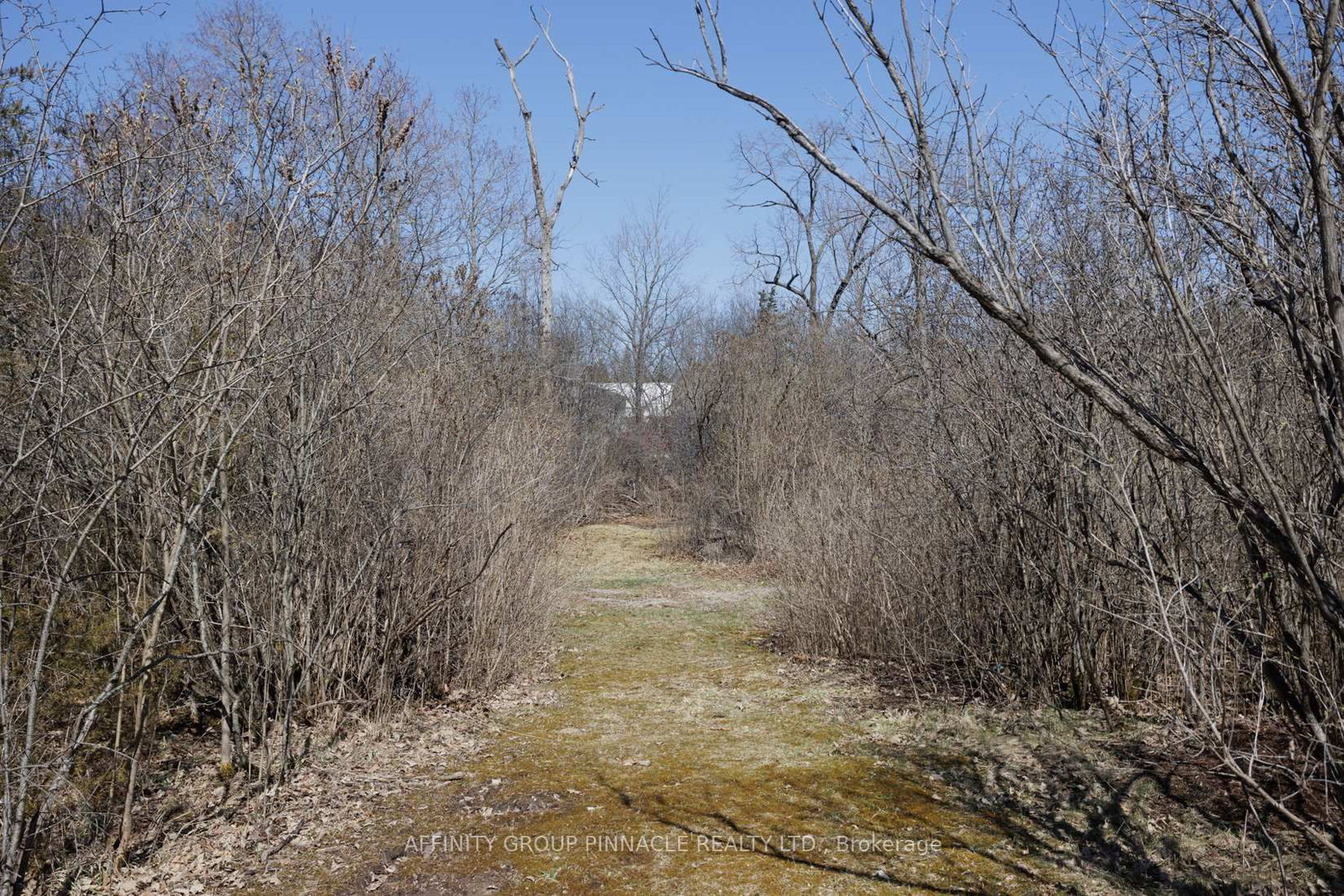 Listing Image 33