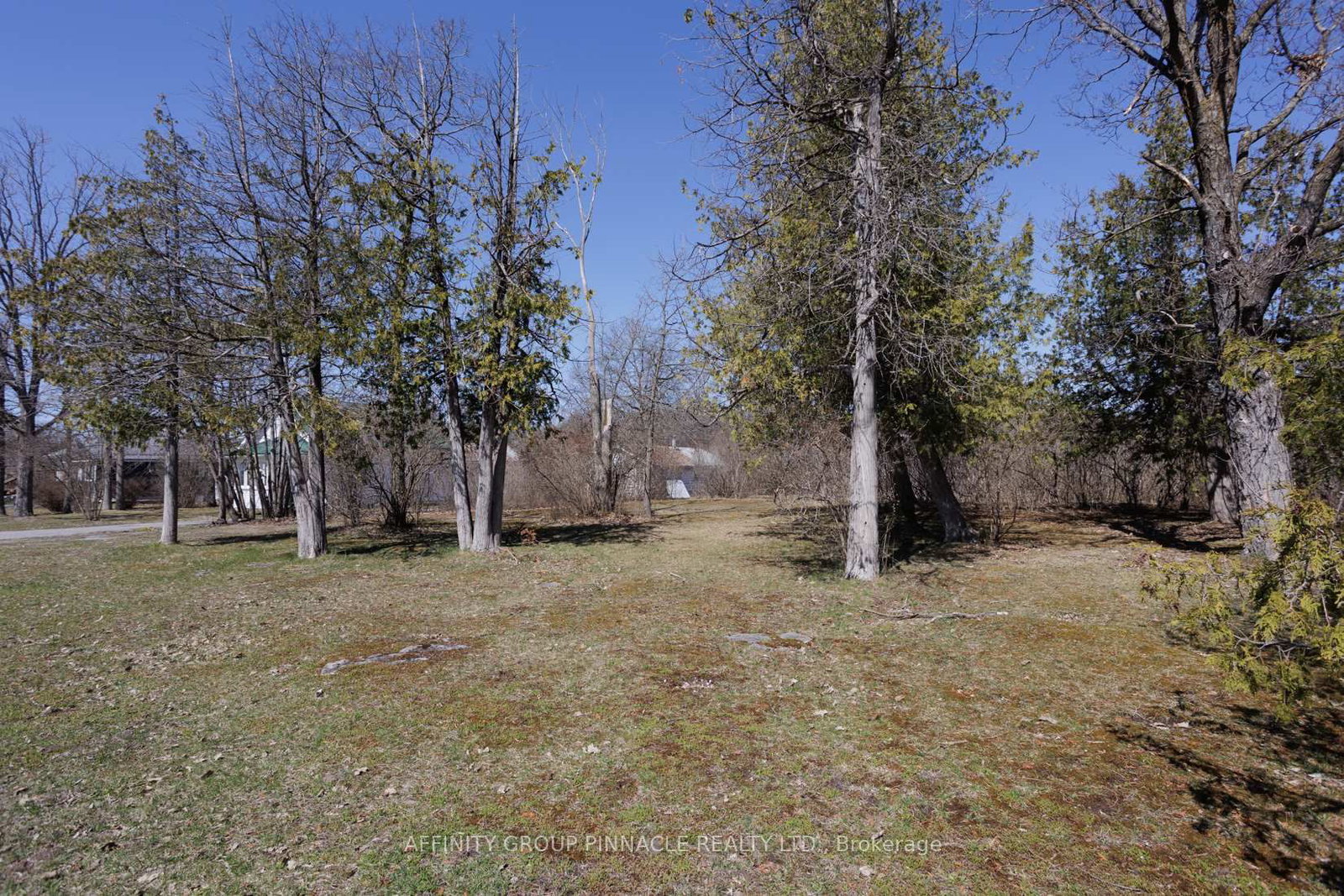 Listing Image 35