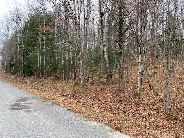 Vacant Land sold at 0 Snow Road, Bancroft, K0L 1C0 - MLS: X8235892