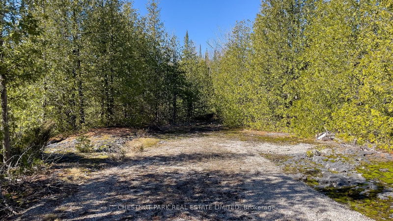 4693 Highway 6   Northern Bruce Peninsula, N0H 1Z0 | Image 25