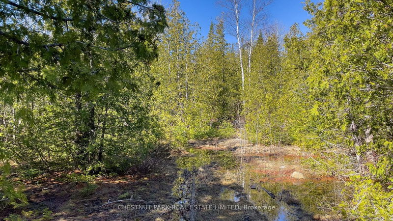 4693 Highway 6   Northern Bruce Peninsula, N0H 1Z0 | Image 27