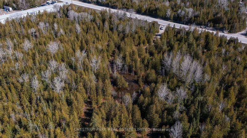 4693 Highway 6   Northern Bruce Peninsula, N0H 1Z0 | Image 8