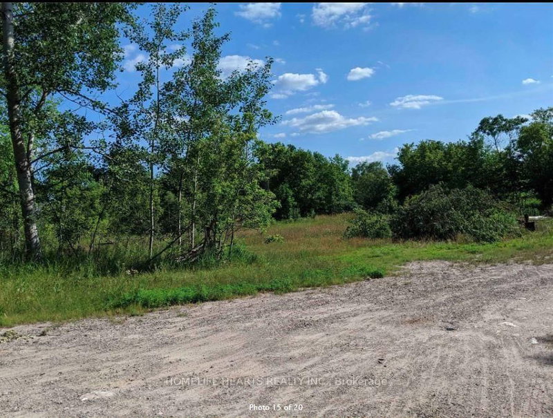 25 Gream St, Madoc, K0K 2K0 | Image 3