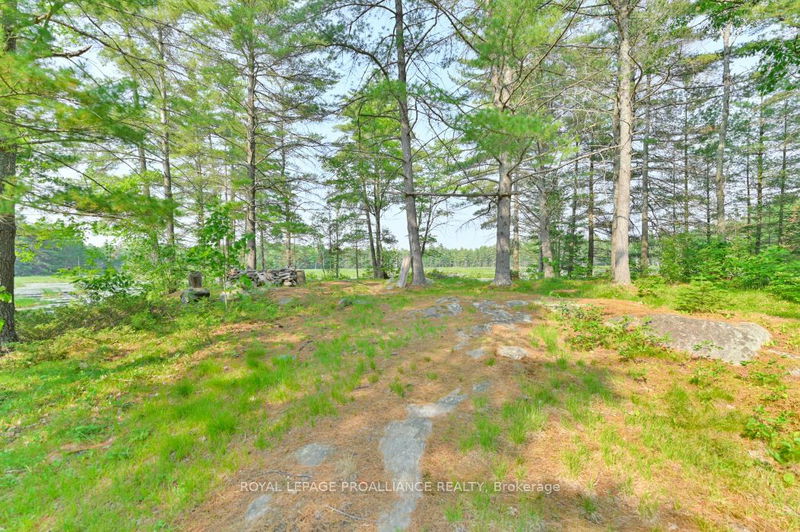 1971 Gull Lake Estates Lane  North Frontenac, K0H 1B0 | Image 13