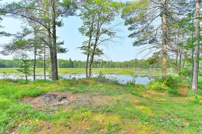 1971 Gull Lake Estates Lane  North Frontenac, K0H 1B0 | Image 16