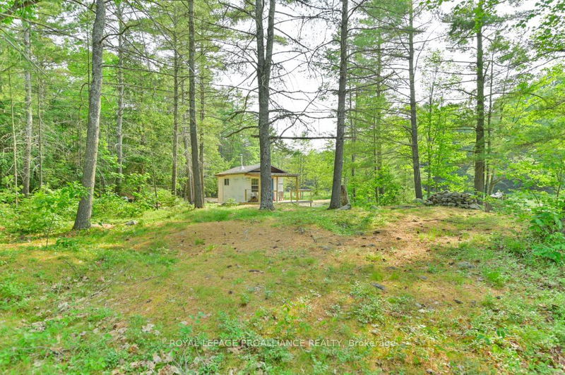 1971 Gull Lake Estates Lane  North Frontenac, K0H 1B0 | Image 17