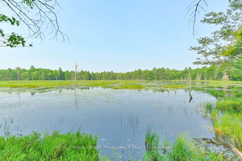 1971 Gull Lake Estates Lane  North Frontenac, K0H 1B0 | Image 18