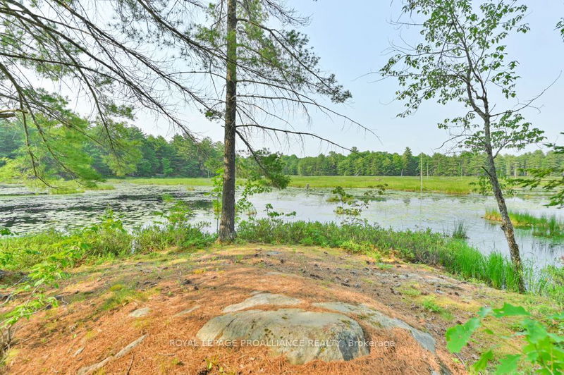 1971 Gull Lake Estates Lane  North Frontenac, K0H 1B0 | Image 19